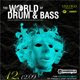 The World Of Drum & Bass, Санкт-Петербург, 12.12.09