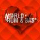 The World Of Drum & Bass, Санкт-Петербург, 20.11.10