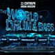 The World Of Drum&Bass, Москва, 22.09.12